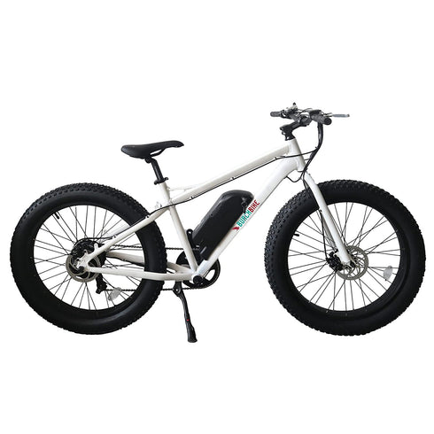 Burch Electric Mountain Bike Eagle